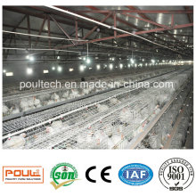 Automatic a Style Chicken Farm Equipment Layer Broiler Pullet Cage